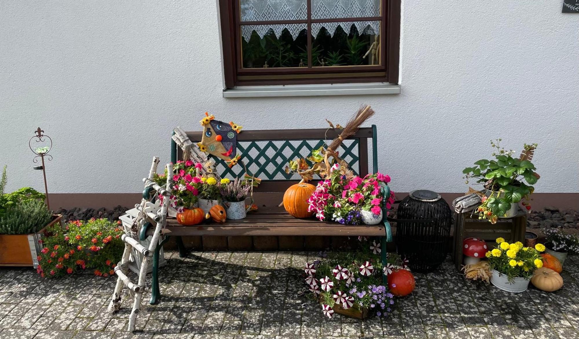Ferienwohnung In Der Vulkaneifel "Opp Der Holl" Brockscheid Esterno foto